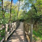 opciones universitarias en extrarradio de Madrid