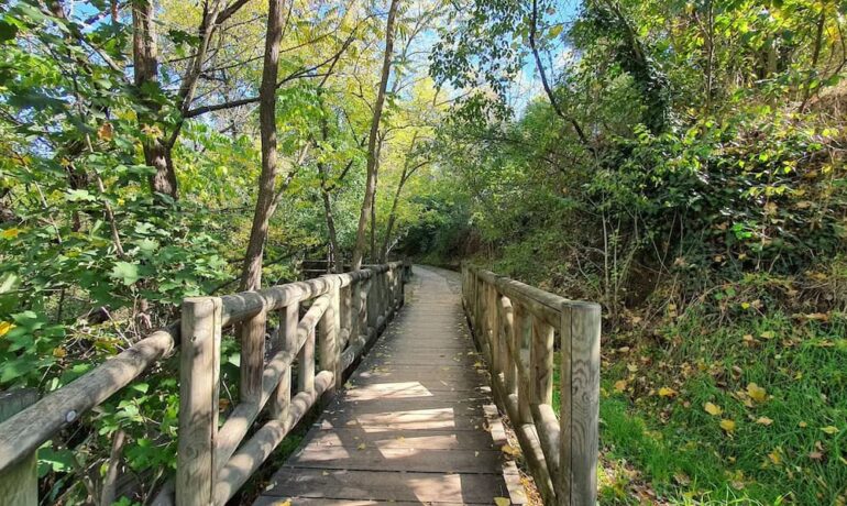 opciones universitarias en extrarradio de Madrid