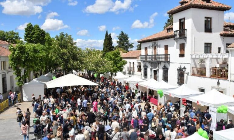 Feria del vino Villaviciosa de Odón