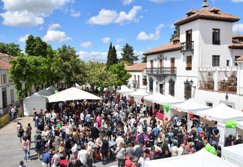 Feria del vino Villaviciosa de Odón